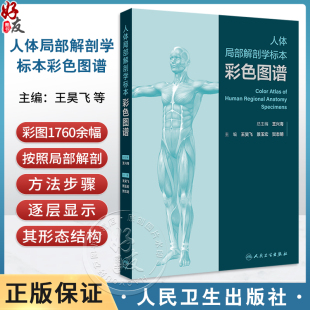 小脑 颞下颌关节 动脉 大脑大静脉及其属支 社9787117354936 人体局部解剖学标本彩色图谱 主编王昊飞等人民卫生出版 头部表面结构