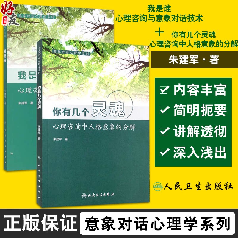 全2册 意象对话心理学系列—我是谁 心理咨询与意象对话技术+你有几个灵魂—心理咨询中人格意象的分解 人民卫生出版社