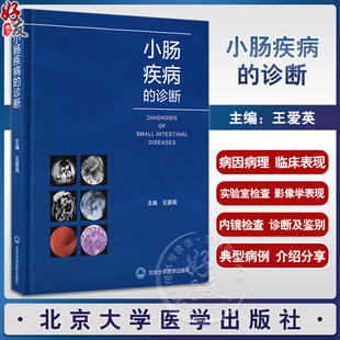 典型病例 社9787565926853 消化科等相关学科医师参考书 王爱英 疾病病因病理临床表现造影CT诊断 诊断 北京大学医学出版 小肠疾病