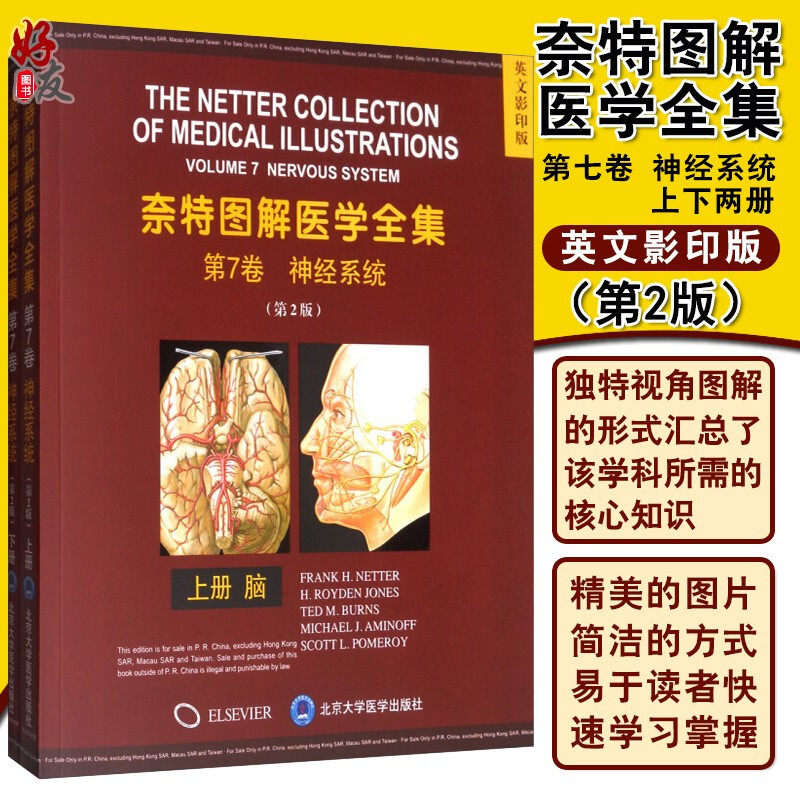 现货包邮 奈特图解医学全集 第7卷 神经系统 第2版第二版 上下两册 英文影印版 脑 脊髓与周围运动和感觉系统 9787565920264