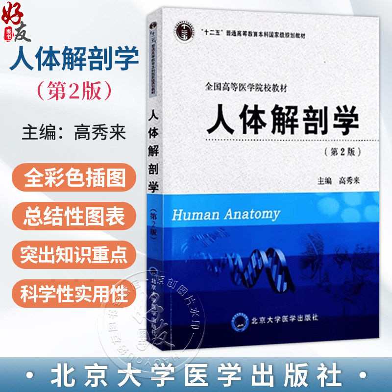 人体解剖学 第2二版 高秀来 主编 十二五普通高等教育本科国家级规别教材 全国高等医学院校教材 9787811167177北京大学医学出版社