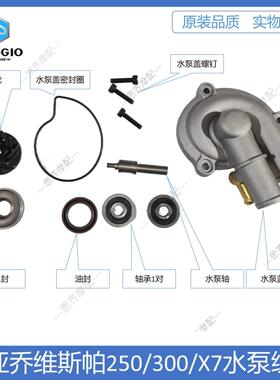 比亚乔维斯帕GTS250/300/X7水泵组件阿普利亚SR250/300水泵叶轮