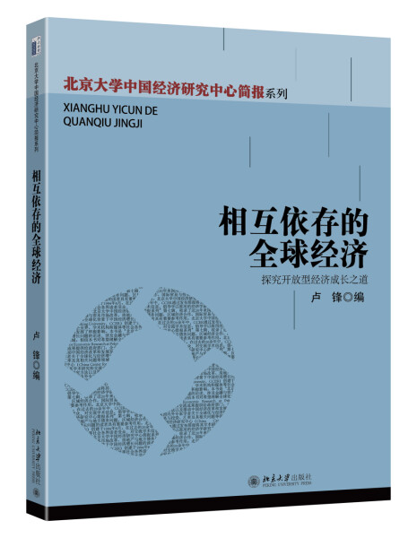 正版图书相互依存的全球经济:探究开放型经济成长之道北京大学卢锋