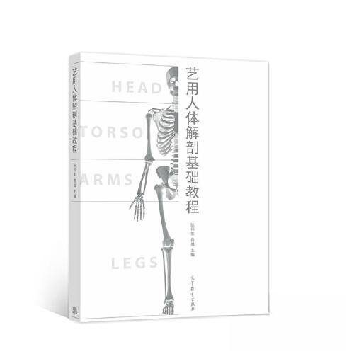 正版 艺用人体解剖基础教程 陈伟生 费俊 高等教育出版社 9787040528213