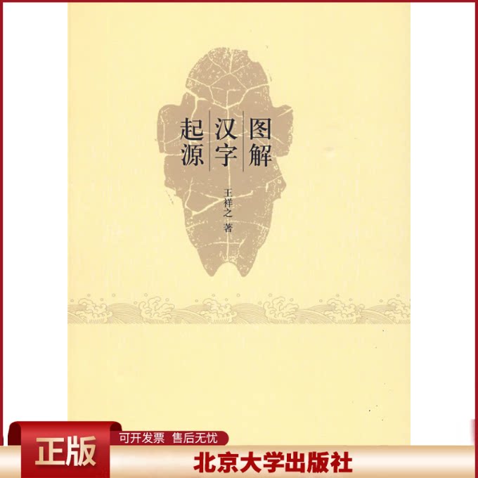 正版 图解汉字起源 王祥之 北京大学出版社 9787301157565