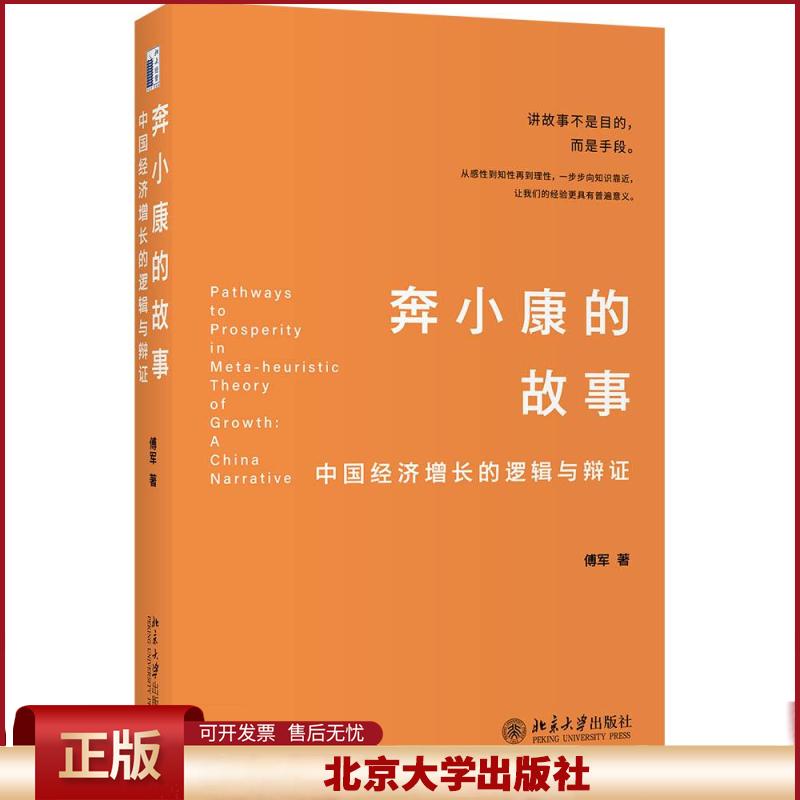 正版 奔小康的故事 中国经济增长的逻辑与辩证 傅军 北京大学出版社 9787301324516