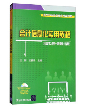 正版 会计信息化实用教程 汪刚，王新玲 编 清华大学出版社 9787302211228