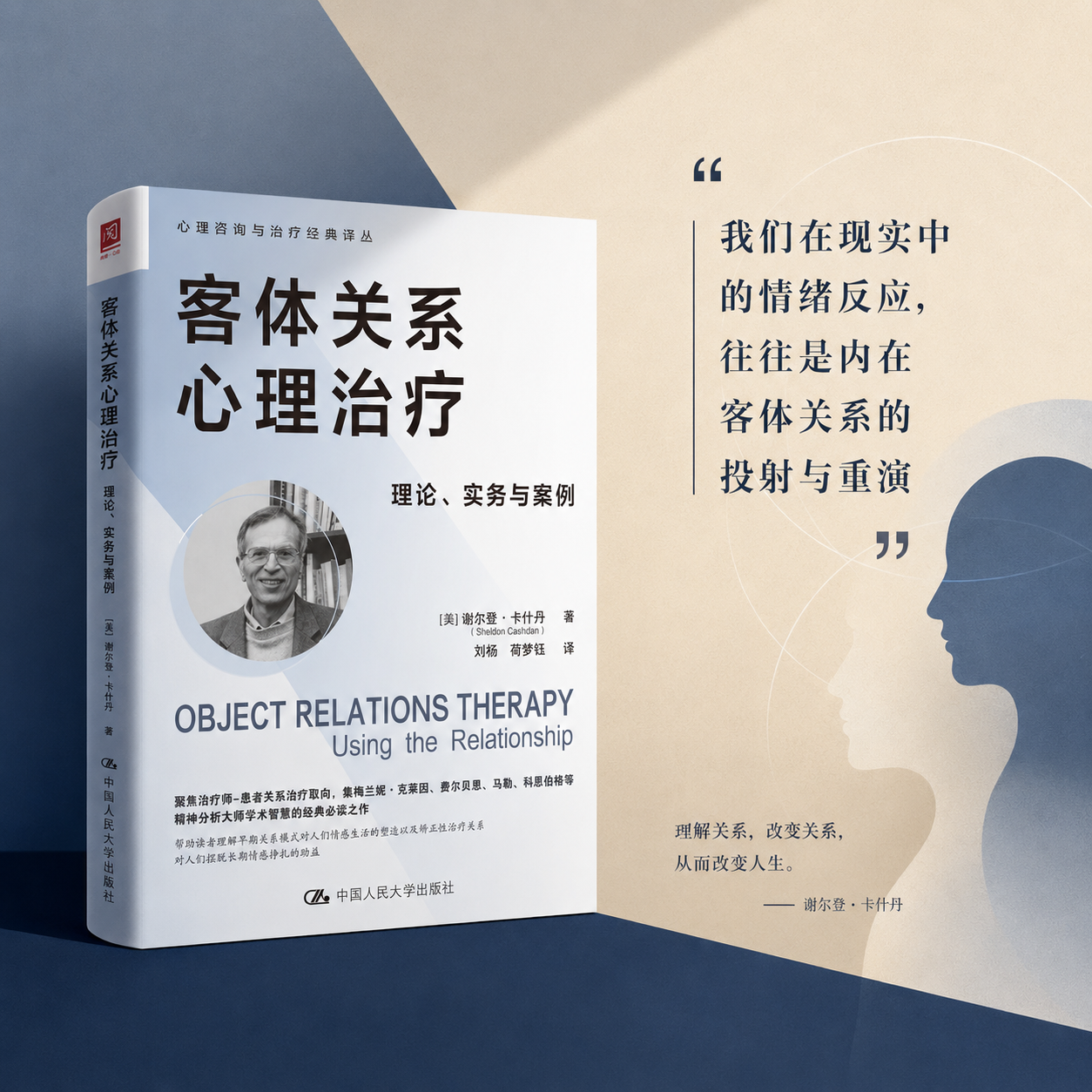 正版现货 客体关系心理治疗 理论、实务与案例 谢尔登·卡什丹 中国人民大学出版社9787300350820