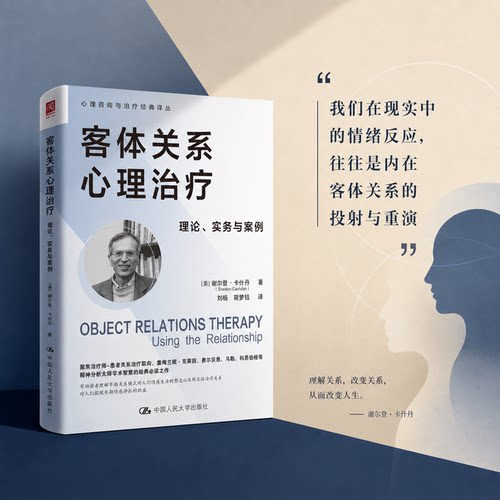 客体关系心理治疗理论实务与案例
