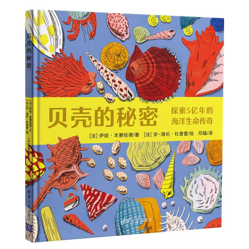 正版 贝壳的秘密 伊娃·本赛哈德、安-海伦·杜普雷、邓韫 清华大学出版社 9787302572633