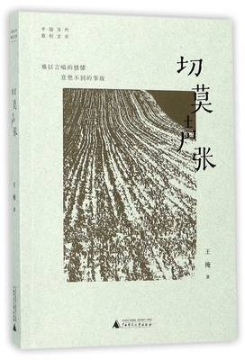 正版图书 中国当代原创文学：切莫声张广西师范大学王掩