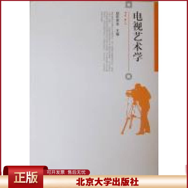 正版 电视艺术学 欧阳宏生 北京大学出版社 9787301197042