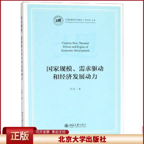 正版 国家规模、需求驱动和经济发展动力 杜焱 北京大学出版社 9787301300404