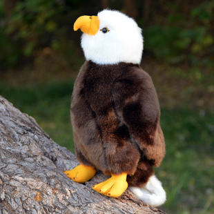 仿真美洲白头海雕毛绒玩具飞禽玩偶秃鹫老鹰公仔鸟类家居生日礼物