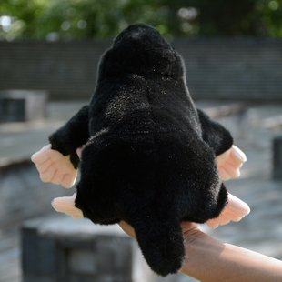 可爱鼹鼠毛绒玩具仿真长吻鼹公仔翻手老鼠玩偶娃娃送女生儿童礼物