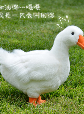 其他鸭鸭公仔PP棉仿真