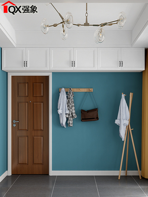 定制衣柜上的顶柜储物柜简单现代壁柜壁柜定制卧室储物柜Dg-201