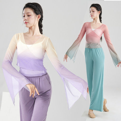 古典舞纱衣练功服网纱舞蹈上衣