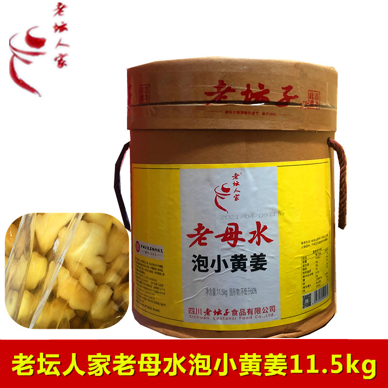 四川老坛人家老坛子老母水泡小黄姜11.5kg泡生姜黄姜圆姜餐饮桶装
