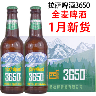 西藏拉萨啤酒3650 全麦啤酒 330ml*6/24瓶 整箱非青稞啤酒