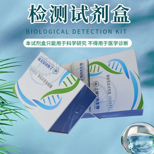 谷氨酸脱羧酶65（GAD65）elisa试剂盒