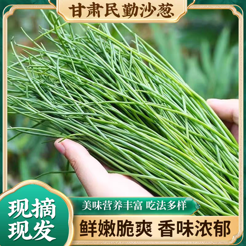 顺丰包邮民勤沙葱新鲜凉拌火锅