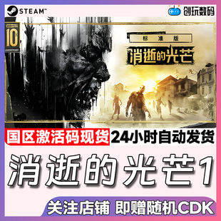 Steam中文正版 消逝的光芒1 Dying Light 国区激活码 现货秒发