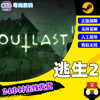 pc中文正版steam游戏outlast2