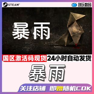 国区激活码 Steam中文正版 Rain Heavy 现货秒发 暴雨