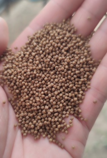 金鱼饲料观赏鱼淡水鱼不浑水通用型饵料鱼粮鱼食1mm48蛋白颗粒