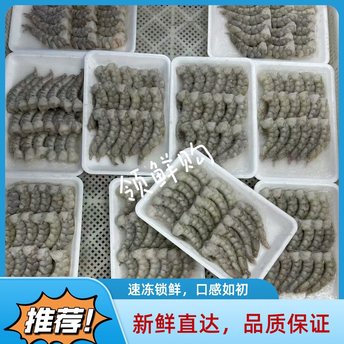 无保水剂虾仁鲜冻无冰特级新鲜大虾仁