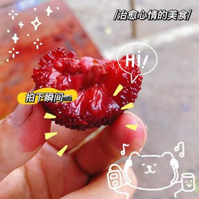 余姚特产荸荠杨梅新鲜水果当季现摘现发孕妇水果