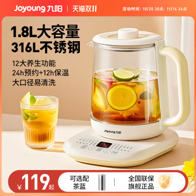 九阳养生壶家用炖煮一体