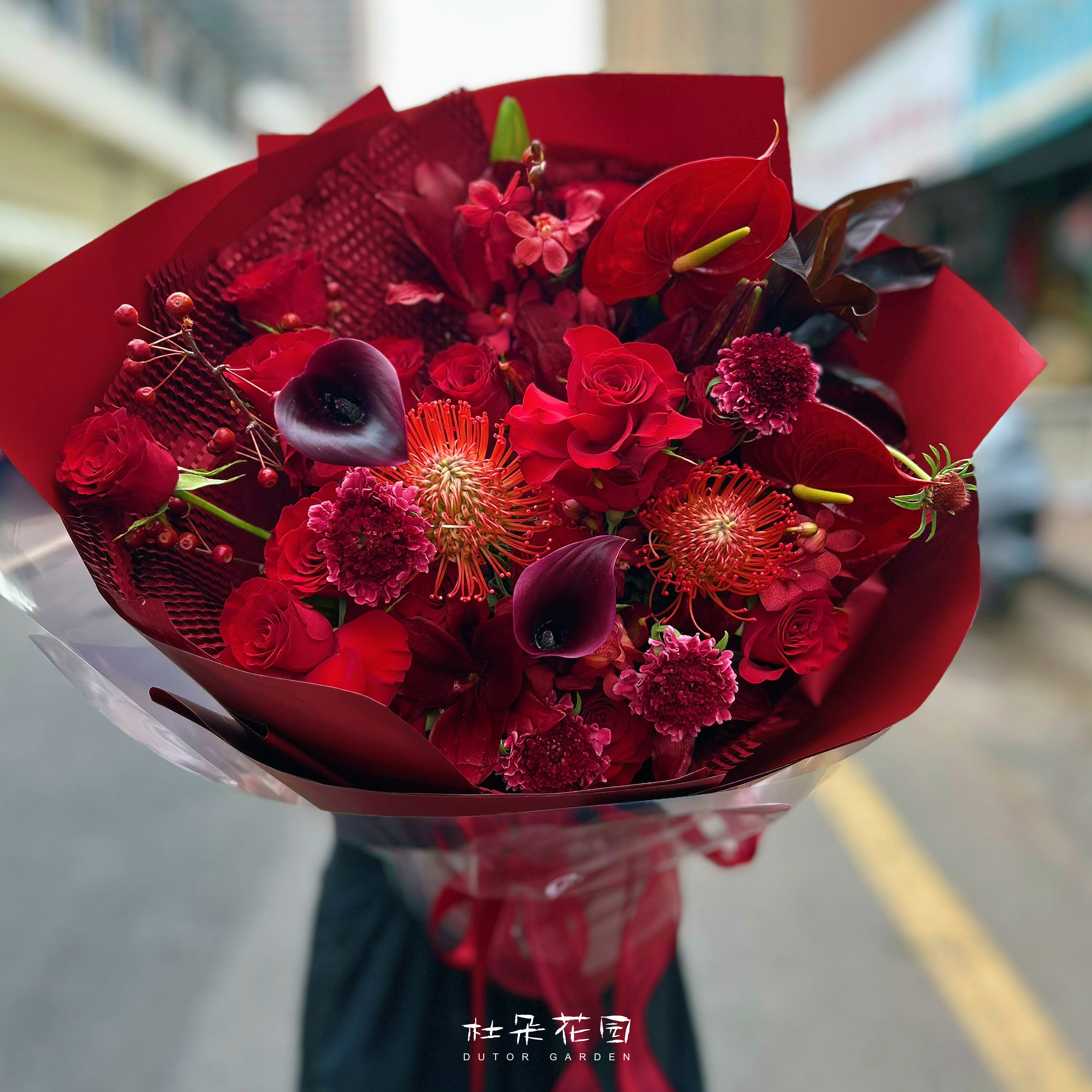 红色系生日花束进口海芋南非针垫送长辈客户朋友祝福西安同城配送