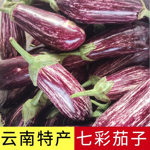云南七彩茄子新鲜花皮茄子包邮