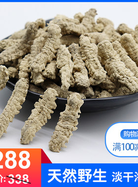 滋补品天然野生印尼淡干海参