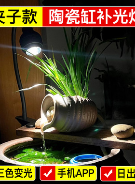 变焦鱼缸灯古法养鱼陶瓷原生溪流缸补光灯水族观赏照明led水草灯
