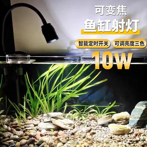 定时鱼缸射灯变焦南美造景雷龙专用灯原生水草灯三湖防水小鱼缸灯 - 封面