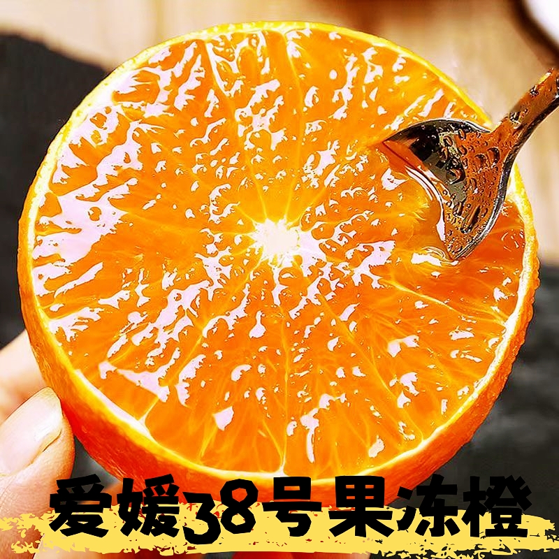四川爱媛果冻橙特大果整箱包邮