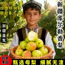 包邮 新疆库尔勒香梨全母梨应季 新鲜水果梨子脆甜多汁产地直发整箱