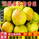 新疆库尔勒香梨全母梨自然熟新鲜应当季 包邮 梨子新疆直发 顺丰