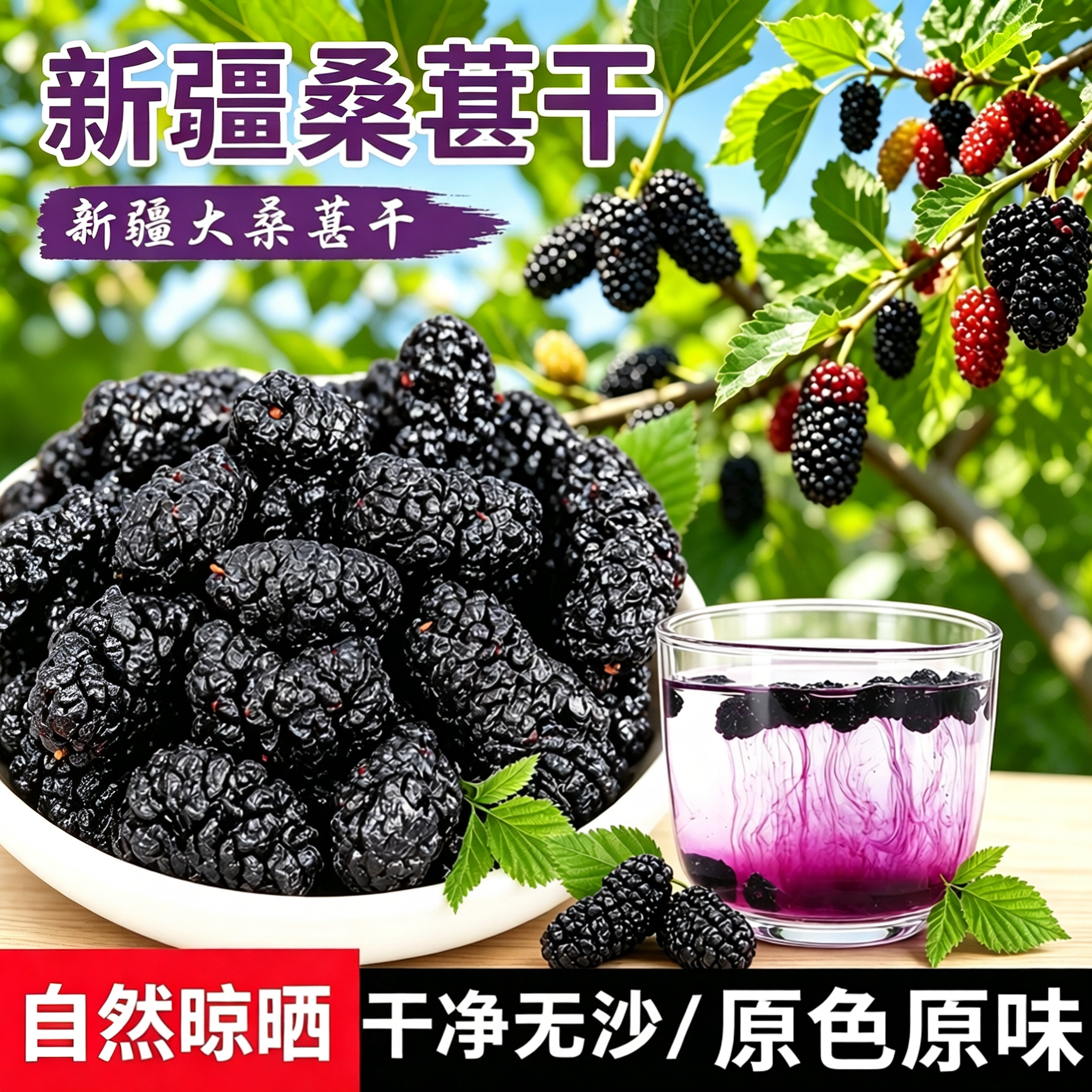 新疆桑葚干品质新货大颗粒无沙免洗即食泡水黑桑椹果干新疆包邮