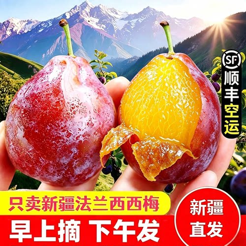新疆法兰西西梅太甜了