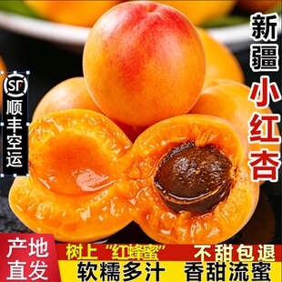 新疆小红杏子阿克苏树上红蜂蜜新鲜应季水果甜杏礼盒4斤顺丰空运