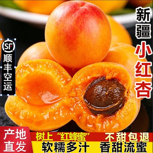 哇！新疆小红杏也太甜了吧