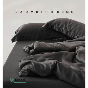 霸总黑 超软奥地利100兰精天丝四件套纯色冰丝裸睡亲肤凉感床单