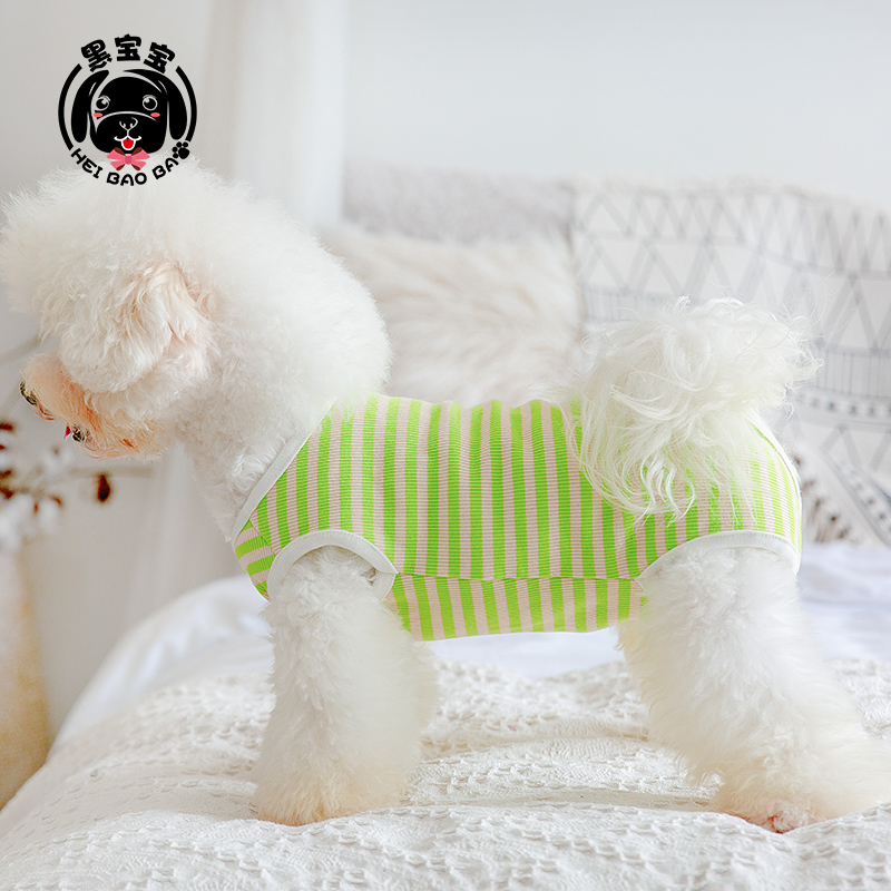 条纹薄款背心雪纳瑞比熊