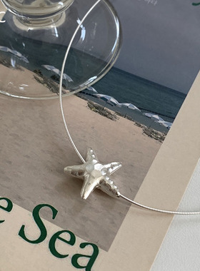小众简约设计海星项链时尚气质百搭ins清冷风高级锁骨链复古颈饰