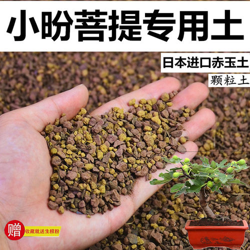 菩提专用土赤玉土酸性颗粒风化土