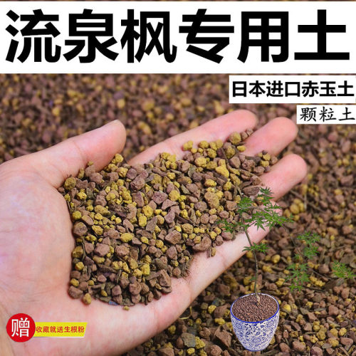 枫树专用风化颗粒土酸性种植土